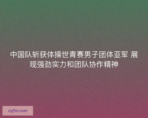 中国队斩获体操世青赛男子团体亚军 展现强劲实力和团队协作精神