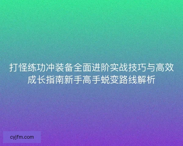 打怪练功冲装备全面进阶实战技巧与高效成长指南新手高手蜕变路线解析